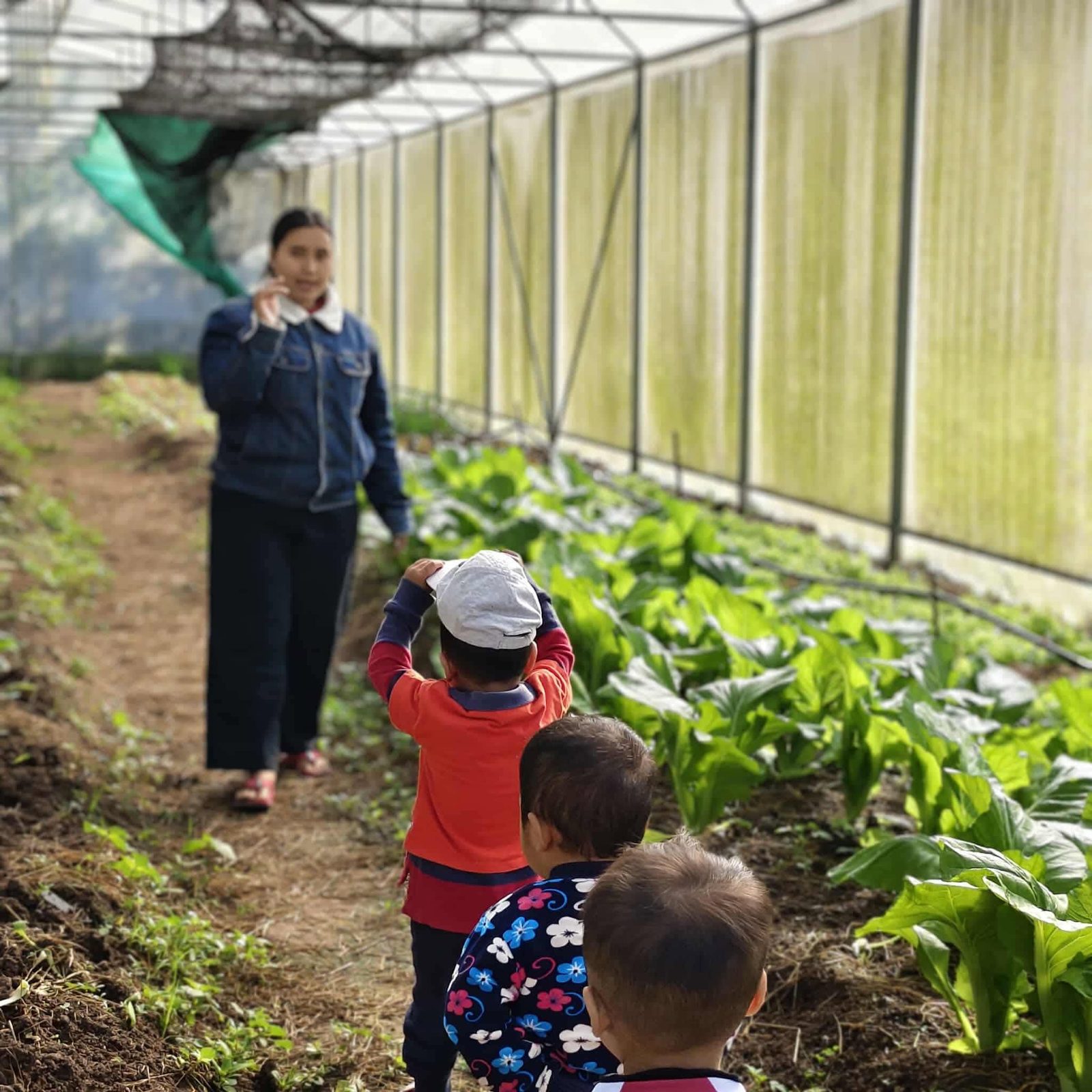 Children walking single file through the garden greenhouse
